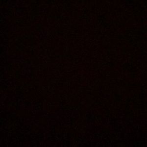 Meet your Posher, Mya